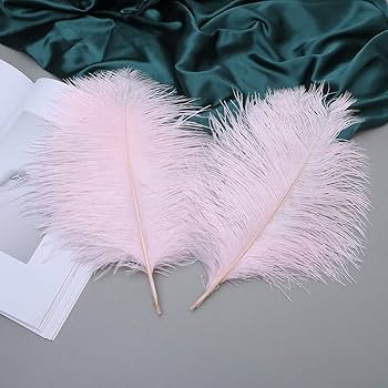 スワンキス EV feather ballet mulle PNK ピンク M スワンキス EV feather ballet mulle PNK ピンク M 春の